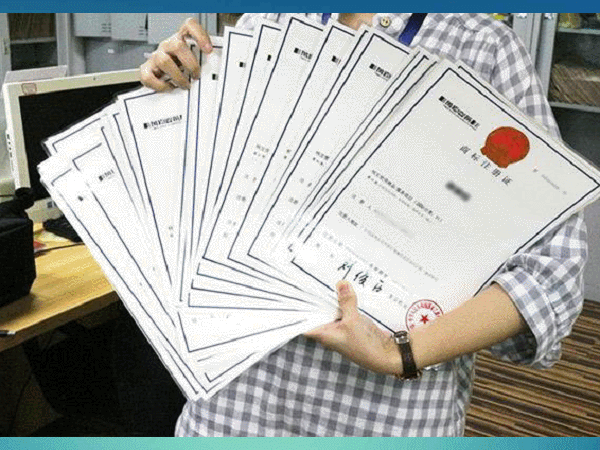 2019122668966833.gif 2019122668966833.gif